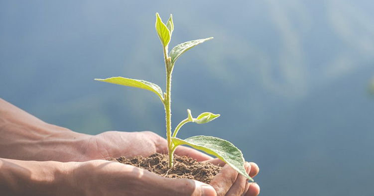 環(huán)境責(zé)任